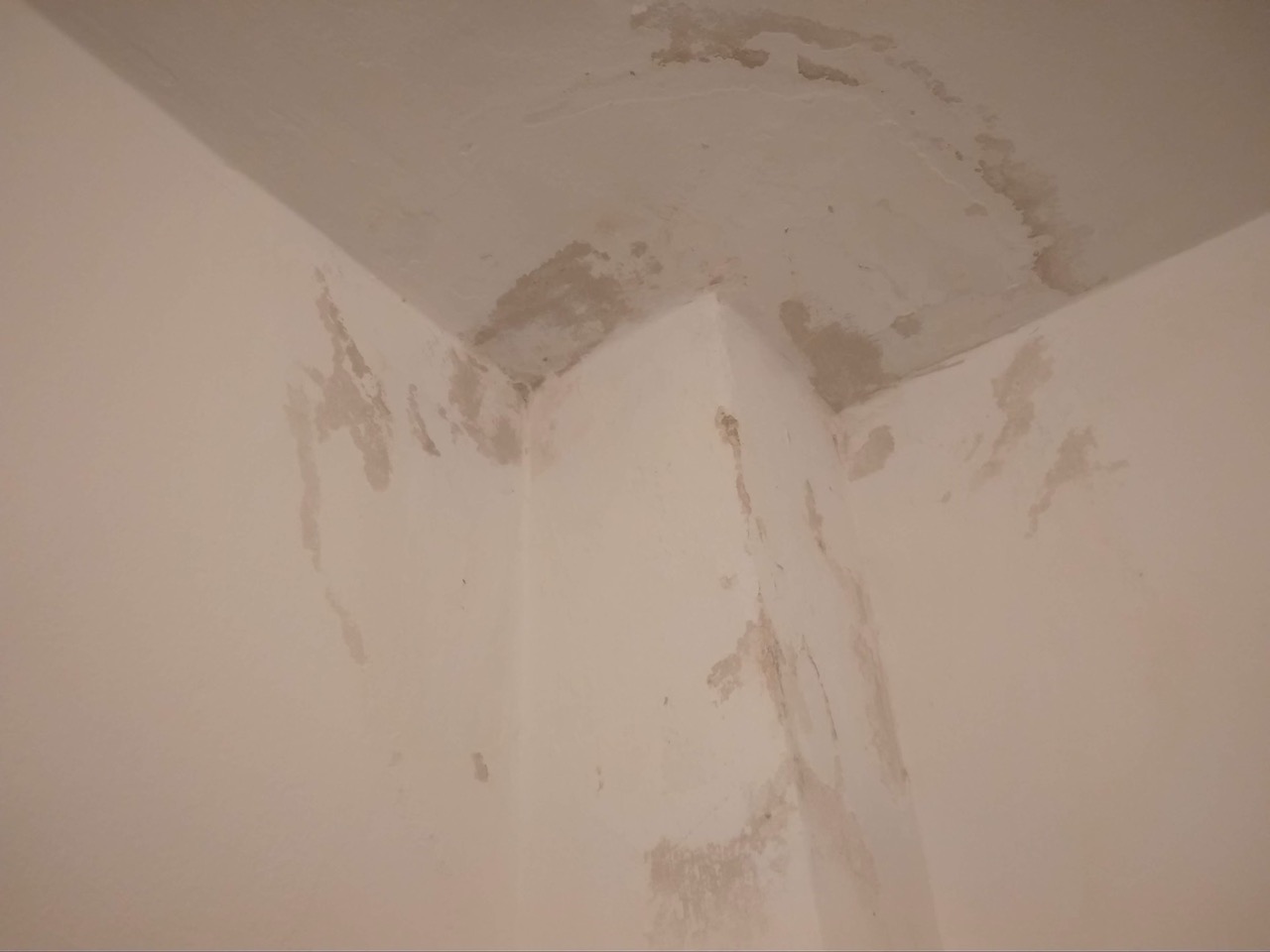 IMG_20190704_175542 Large